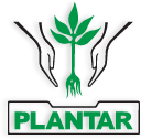 Plantar
